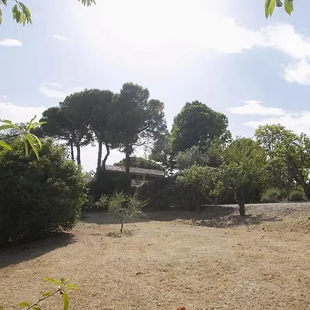 Casale * 노빌라라