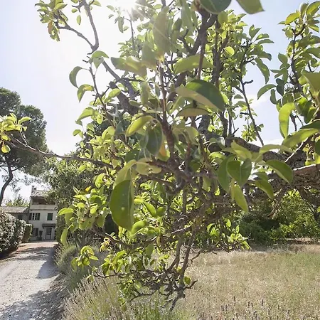 Casale B&B 노빌라라