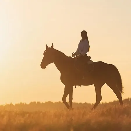 ベッド・アンド・ブレックファスト Casale Novilara