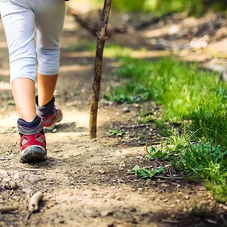 ベッド・アンド・ブレックファスト Casale Novilara