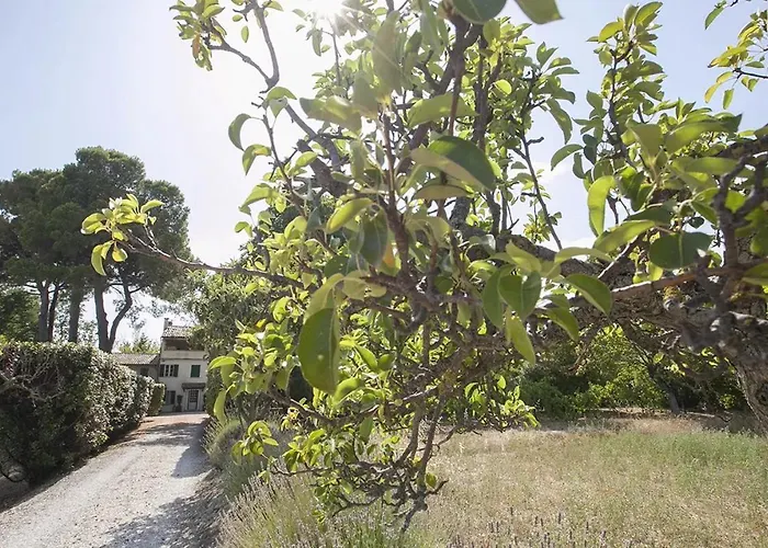 Casale 住宿加早餐酒店 Novilara